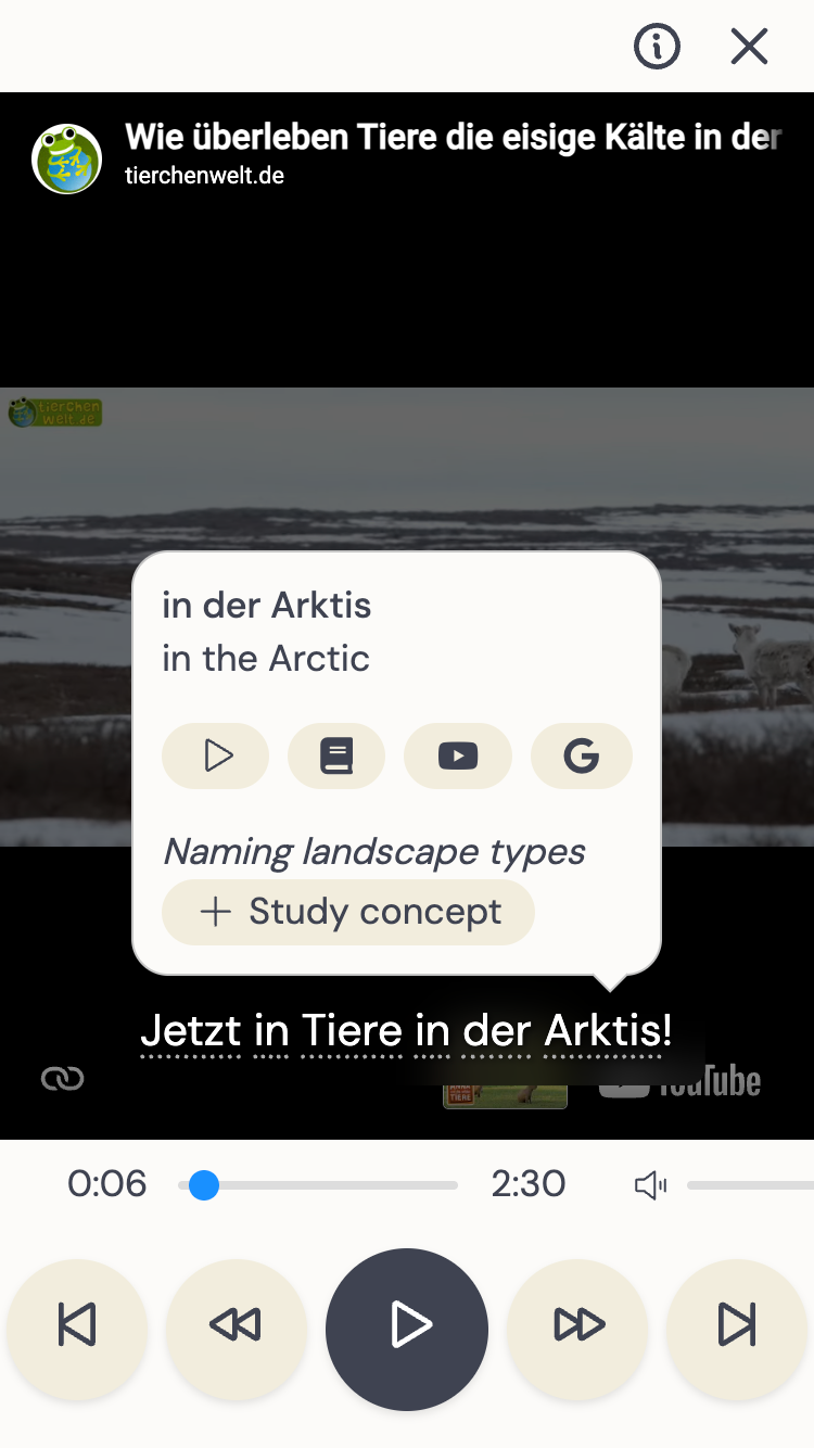 Interactive video subtitles and translation in Jetway